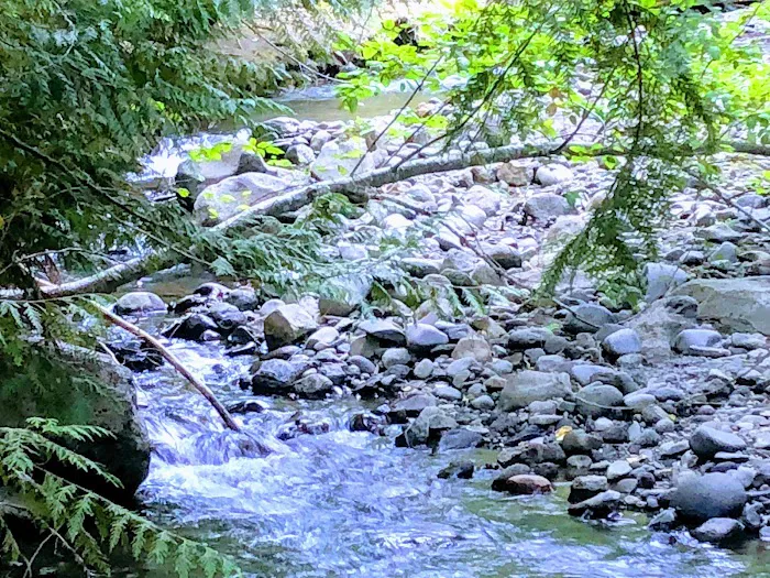 Bird Creek Campground 2