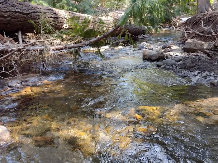 Bird Creek Campground 6