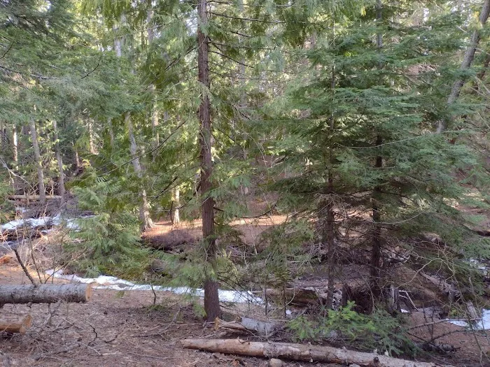 Bird Creek Campground 4