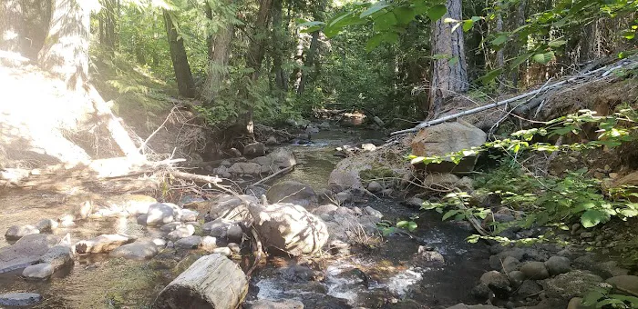 Stout Campground 0