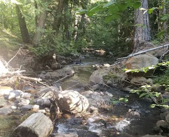 Stout Campground