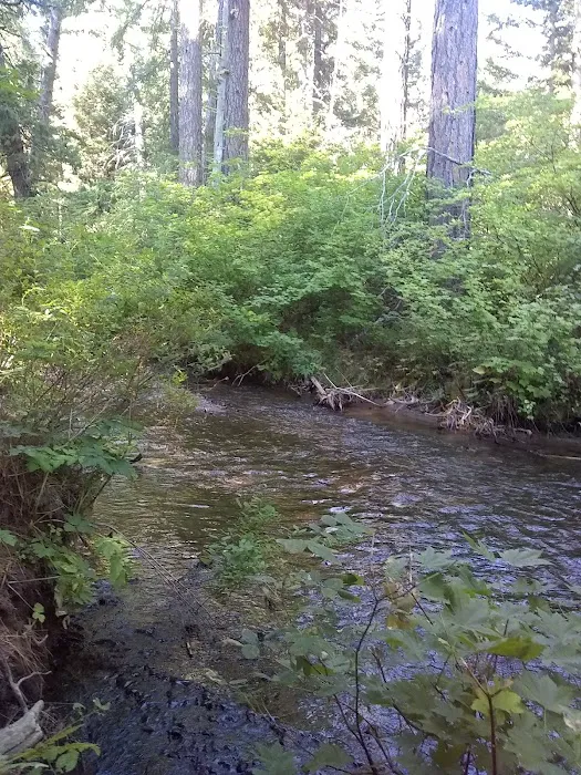 Blue Jay Campground 0
