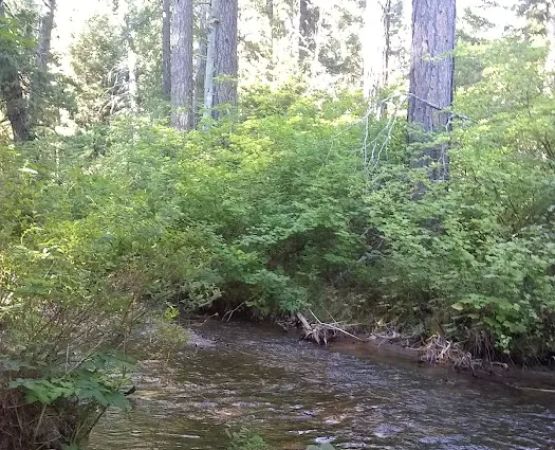 Blue Jay Campground