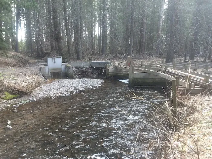 Blue Jay Campground 2