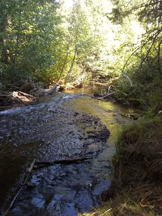 Blue Jay Campground 4