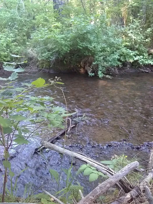 Blue Jay Campground 3
