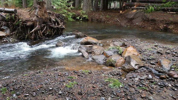 Blue Jay Campground 9