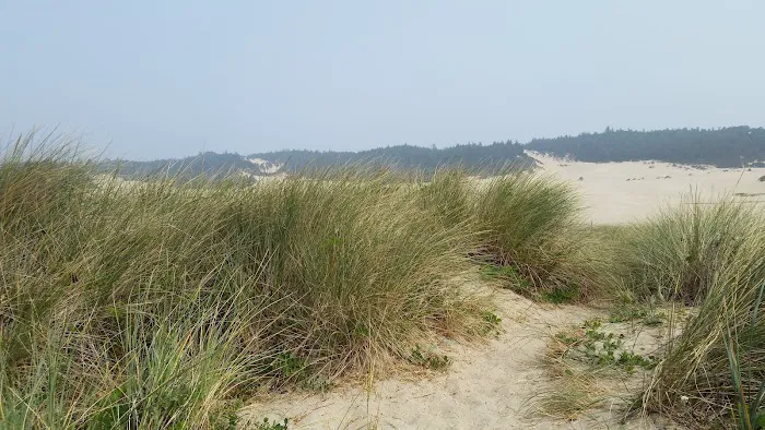 Douglas County Parks Department 4