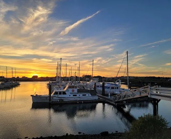 Salmon Harbor Marina