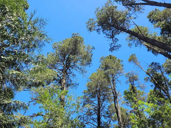 Tugman State Park Campground 1