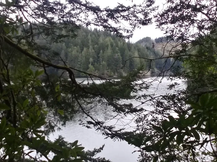 Tugman State Park Campground 4