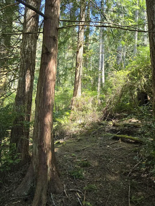 Tugman State Park Campground 7