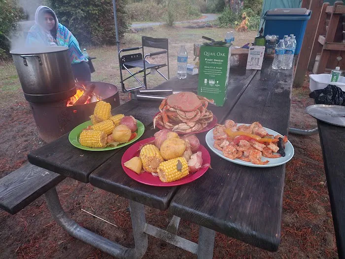 William M. Tugman State Park Campground 4