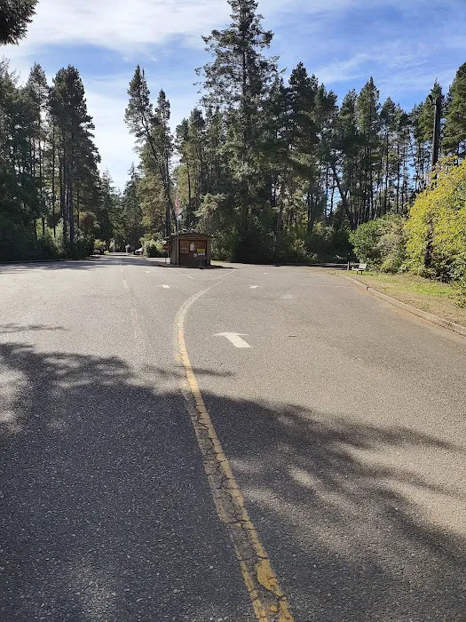 William M. Tugman State Park Campground 5