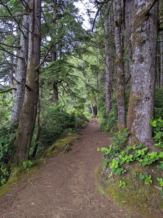 William M. Tugman State Park Campground 9