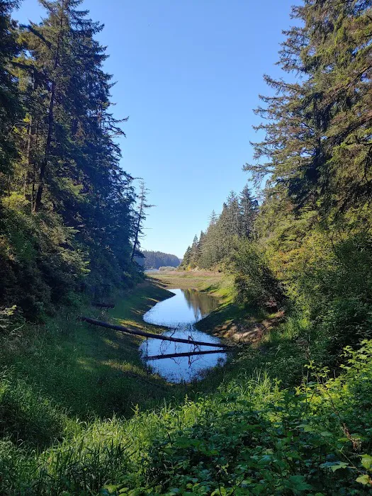 Tahkenitch Campground 2