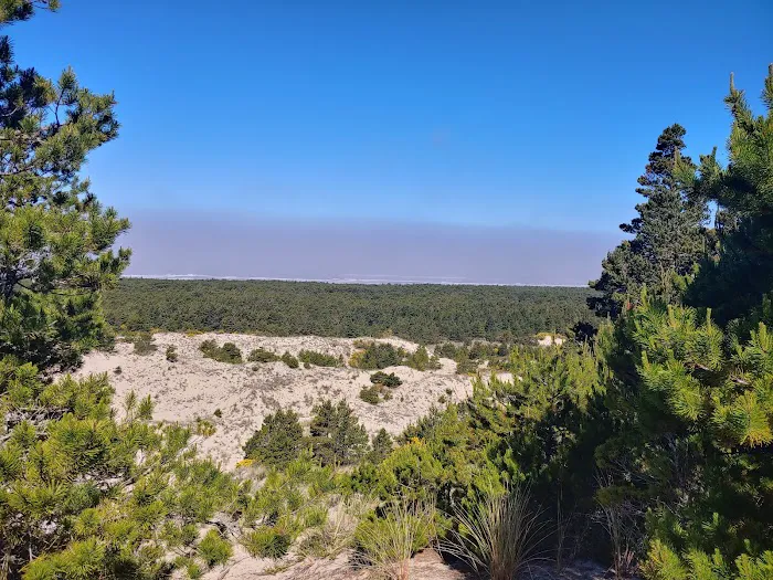Tahkenitch Campground 4