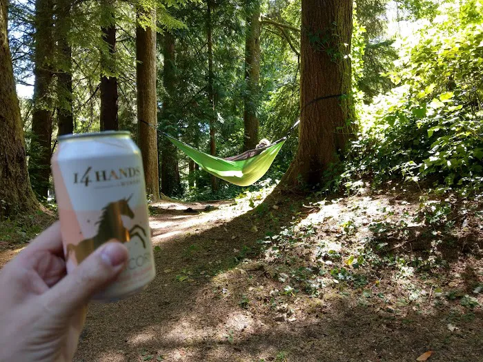 Tahkenitch Campground 6