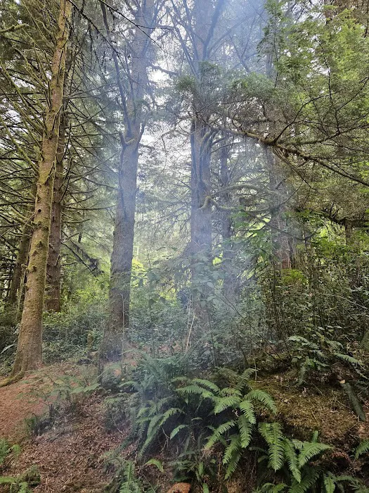 Tahkenitch Campground 8