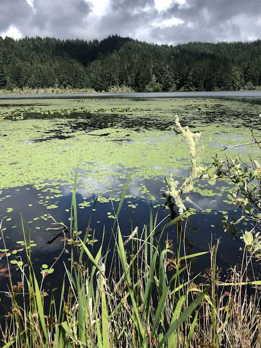 Tahkenitch Landing Campground 2