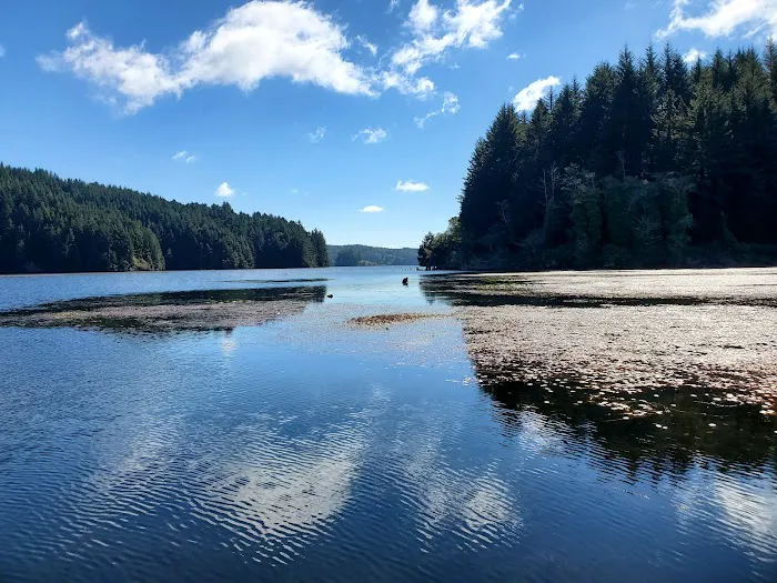 Tahkenitch Landing Campground 6