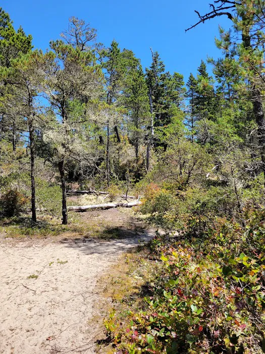 Bluebill Trailhead 5