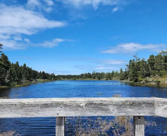 Bluebill Trailhead