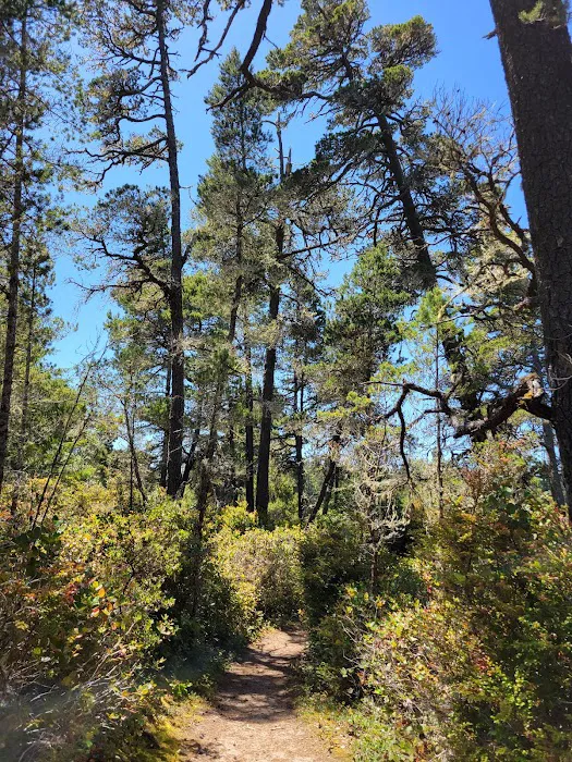 Bluebill Trailhead 9