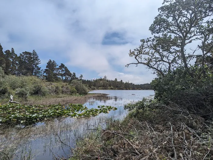 Bluebill Campground 3