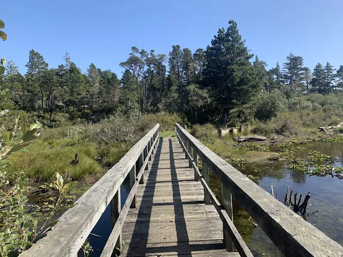 Bluebill Campground 0