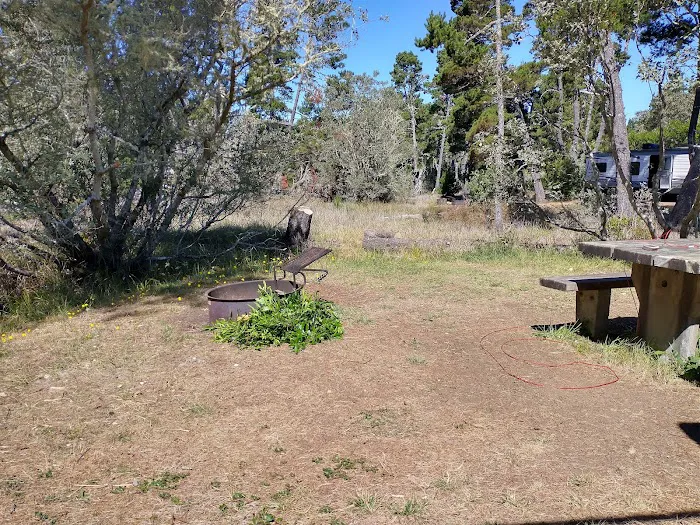 Bluebill Campground 5