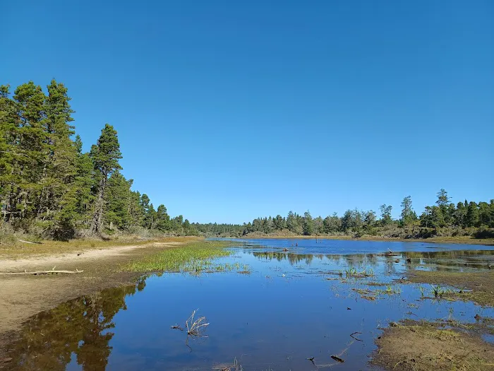 Bluebill Campground 4