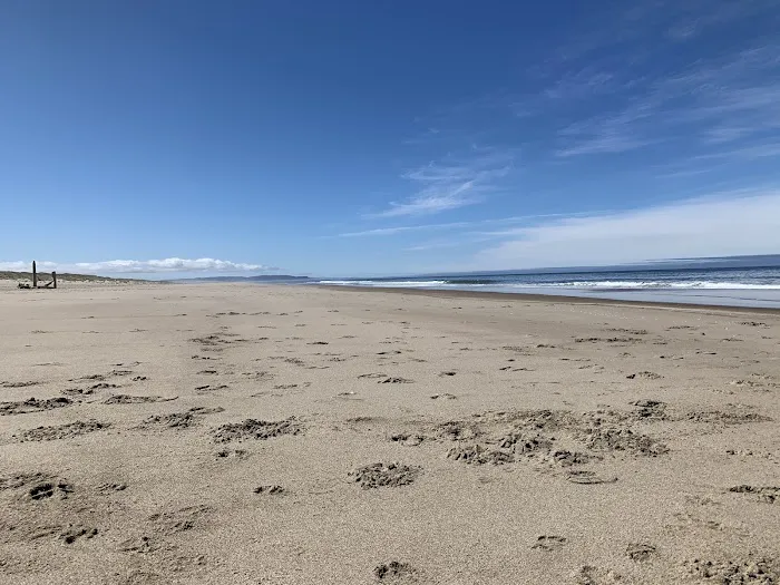 Bluebill Campground 8
