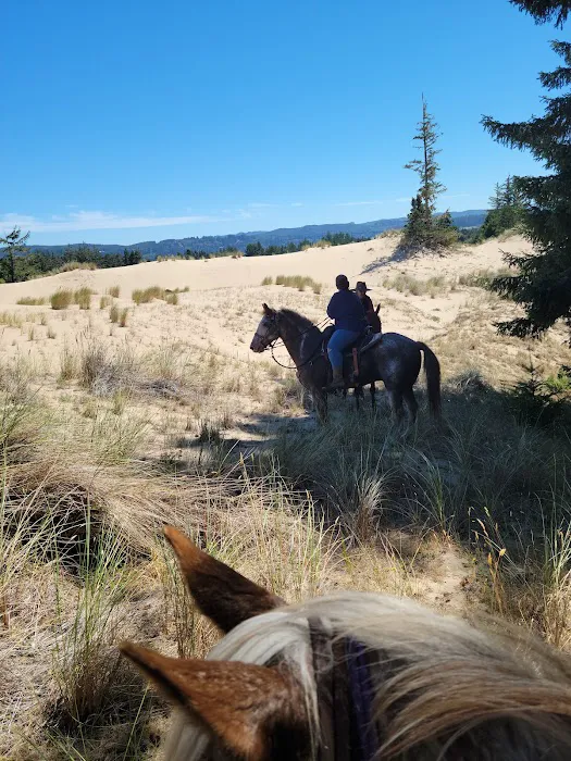 Wild Mare Horse Camp 2
