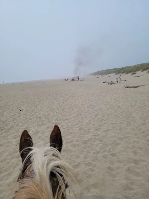 Wild Mare Horse Camp 3