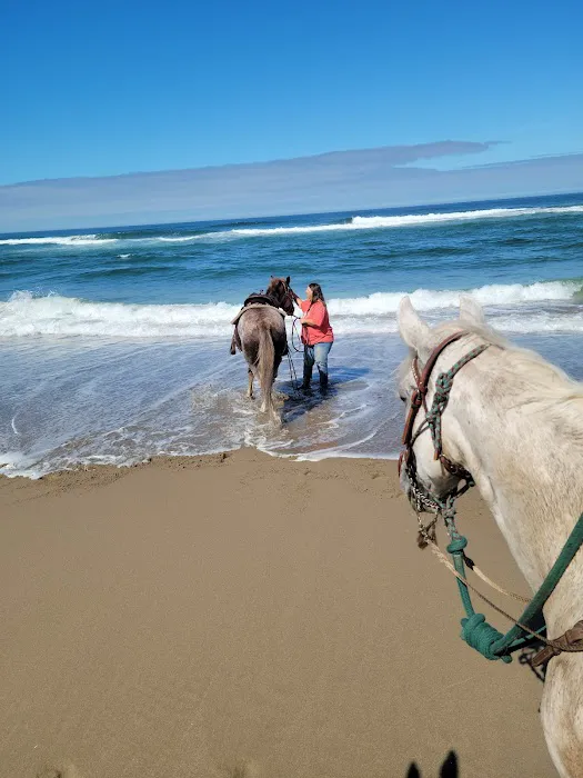 Wild Mare Horse Camp 7
