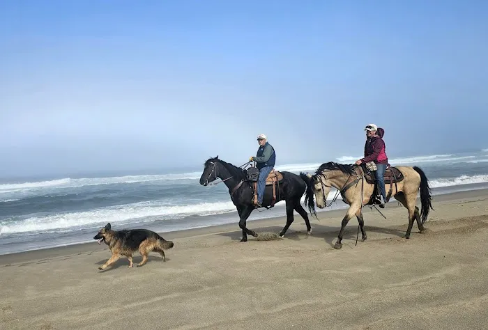 Wild Mare Horse Camp 6