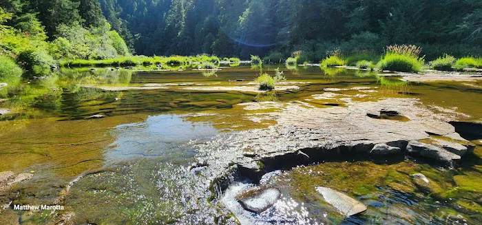 Smith River Falls Campground 5