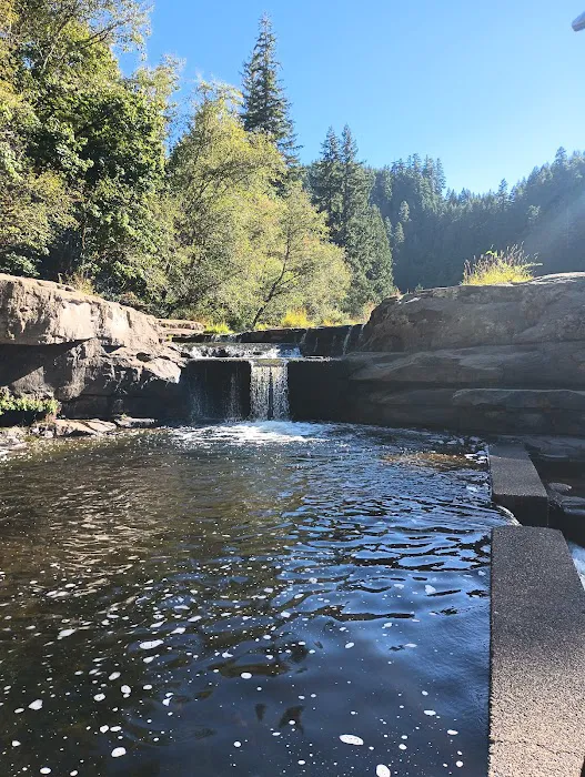 Smith River Falls Campground 6