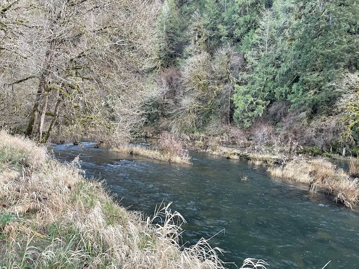 Smith River Campground 2