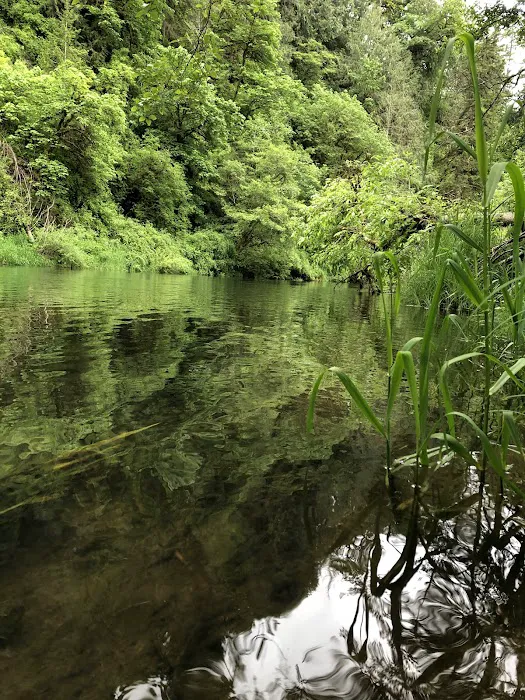 Smith River Campground 8