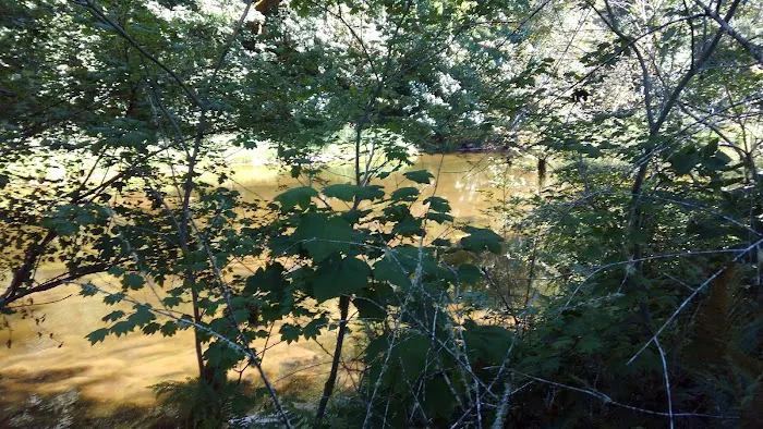 Smith River Campground 4