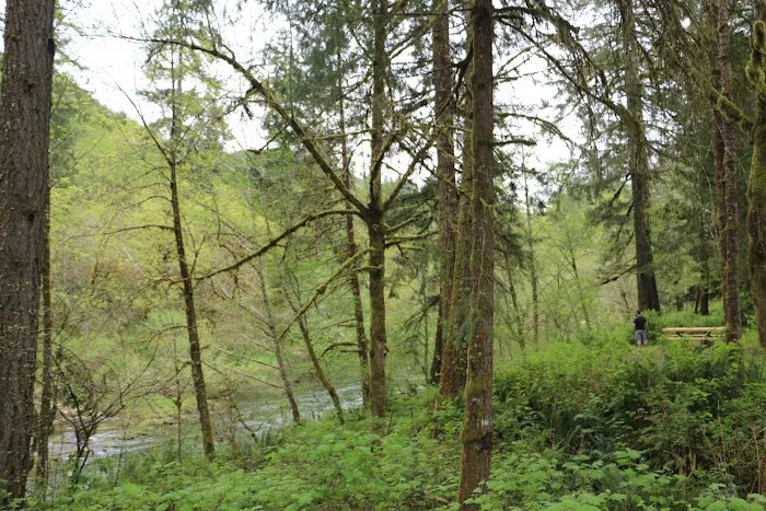 Vincent Creek Campground 0