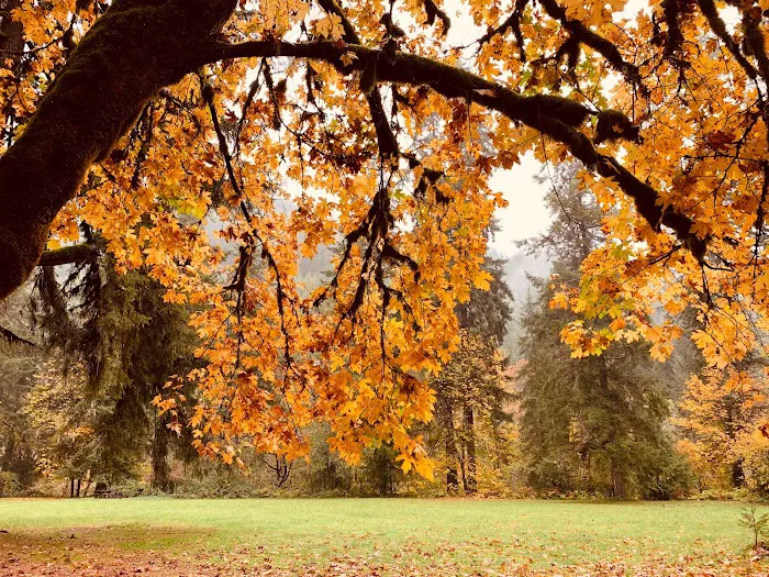Vincent Creek Campground 3