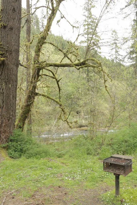 Vincent Creek Campground 8