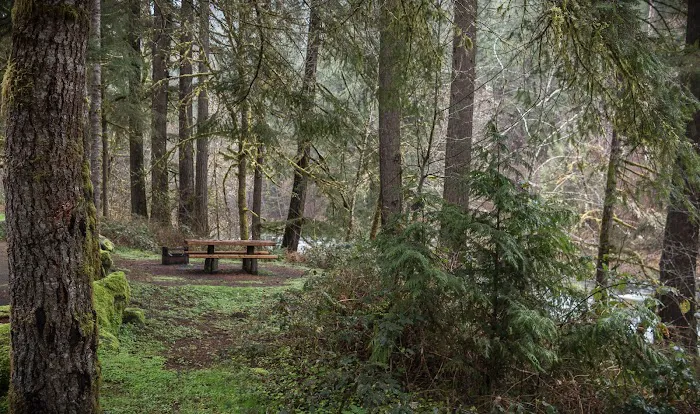 Vincent Creek Campground 7