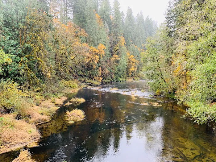 Vincent Creek Campground 5