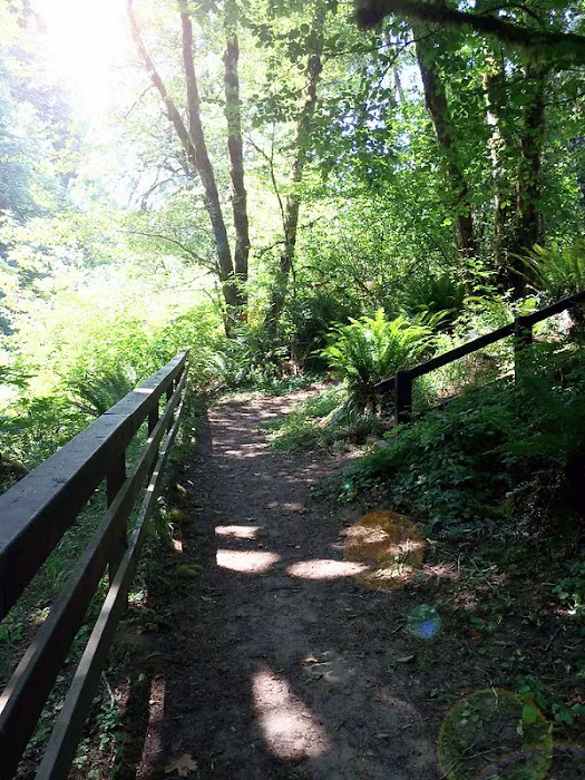 Clay Creek Recreation Site 4