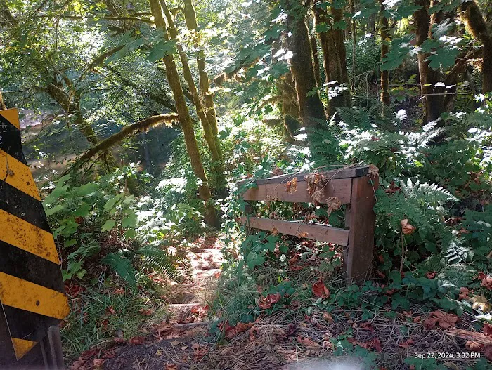 Clay Creek Recreation Site 6