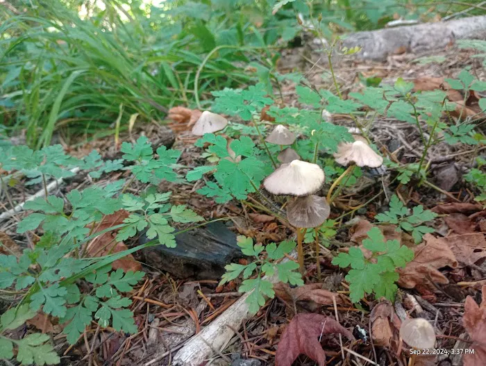 Clay Creek Recreation Site 7